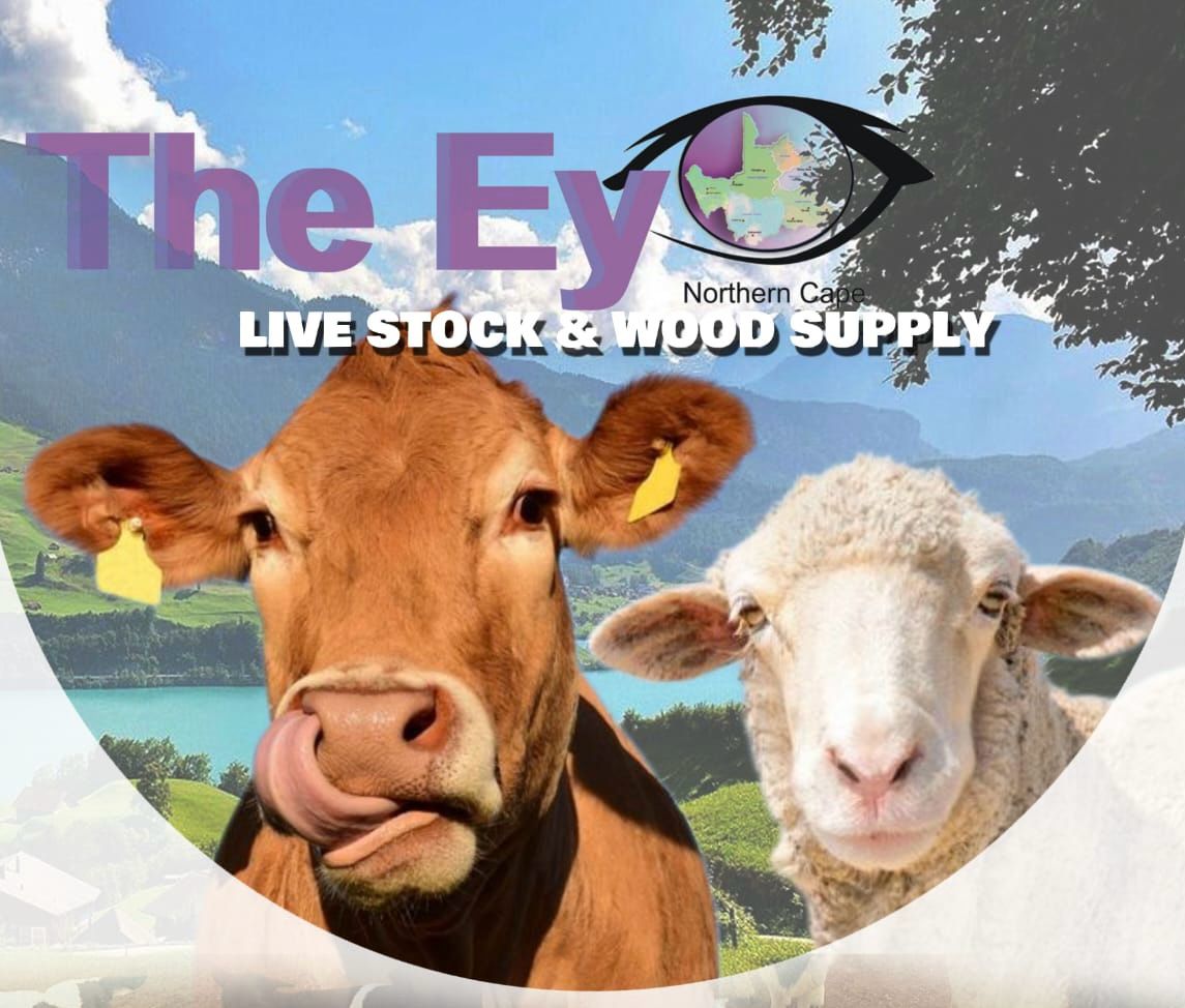 livestock